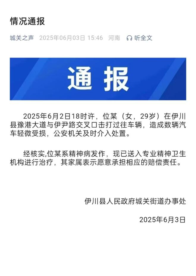 女子持械当街打砸多辆轿车官方通报：系精神病发作家属愿意承担赔